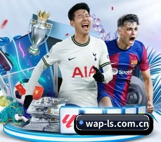 五大服务分区,信息按项目分类