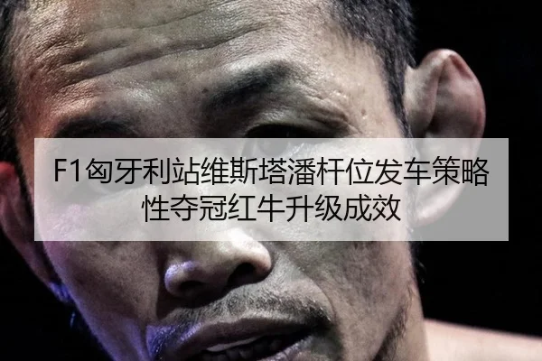 xiong-ya-li-zhan-wei-si-ta-pan-gan-wei-fa-che-ce-lve-xing-duo-guan-hong-niu-sheng-ji-cheng-xiao-2-943.jpg