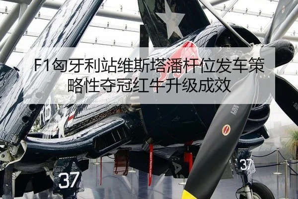xiong-ya-li-zhan-wei-si-ta-pan-gan-wei-fa-che-ce-lve-xing-duo-guan-hong-niu-sheng-ji-cheng-xiao-3-689.jpg