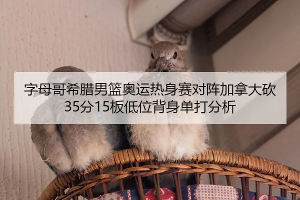 zi-mu-ge-xi-la-nan-lan-ao-yun-re-shen-sai-dui-zhen-jia-na-da-kan-fen-ban-di-wei-bei-shen-dan-da-fen-xi-2-400.jpg
